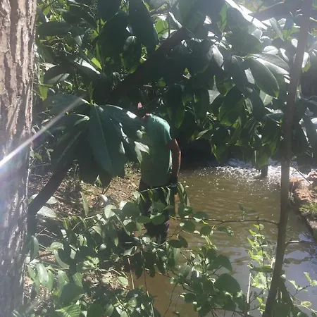 Dom wakacyjny Charming 2-bed In Domfront-en-poiraie *