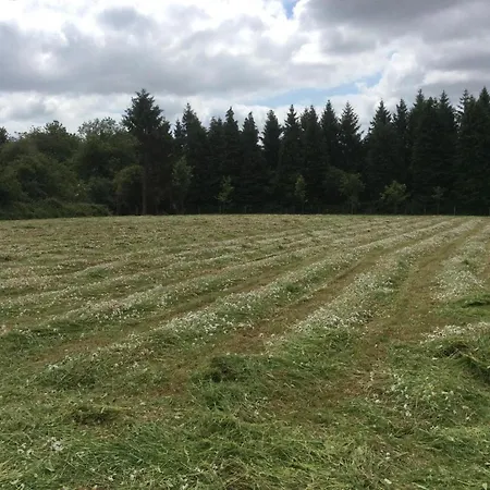 Casa vacanze Charming 2-bed In Domfront-en-poiraie Perrou