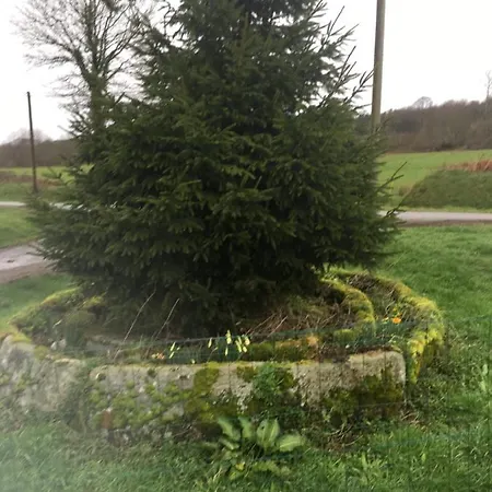 Charming 2-bed In Domfront-en-poiraie