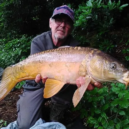 Charming 2-bed In Domfront-en-poiraie Vakantiehuis