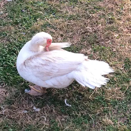 Charming 2-bed In Domfront-en-poiraie Casa vacanze