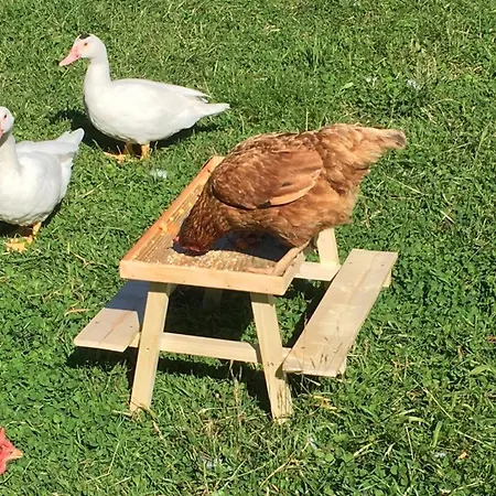 Casa vacanze Charming 2-bed In Domfront-en-poiraie Perrou