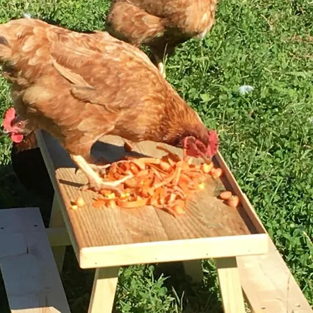 Casa vacanze Charming 2-bed In Domfront-en-poiraie Perrou