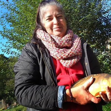 Vakantiehuis Charming 2-bed In Domfront-en-poiraie