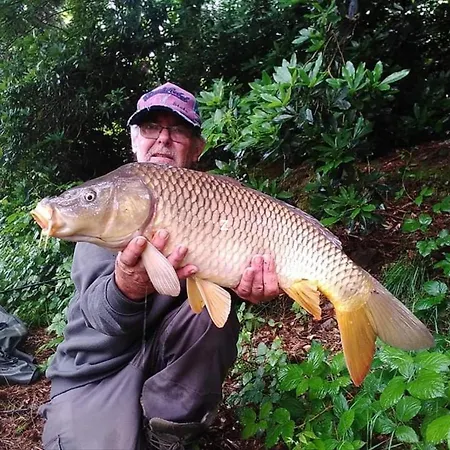 Vakantiehuis Charming 2-bed In Domfront-en-poiraie *