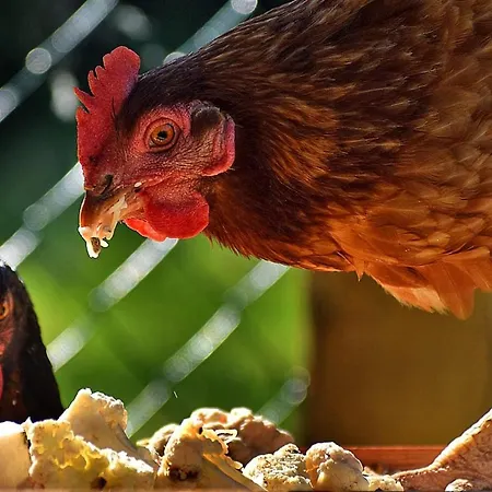 Charming 2-bed In Domfront-en-poiraie Perrou