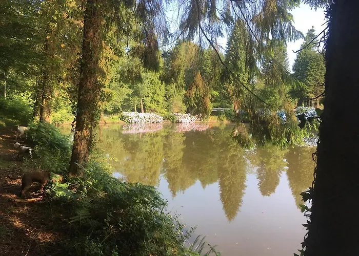 Charming 2-bed In Domfront-en-poiraie *