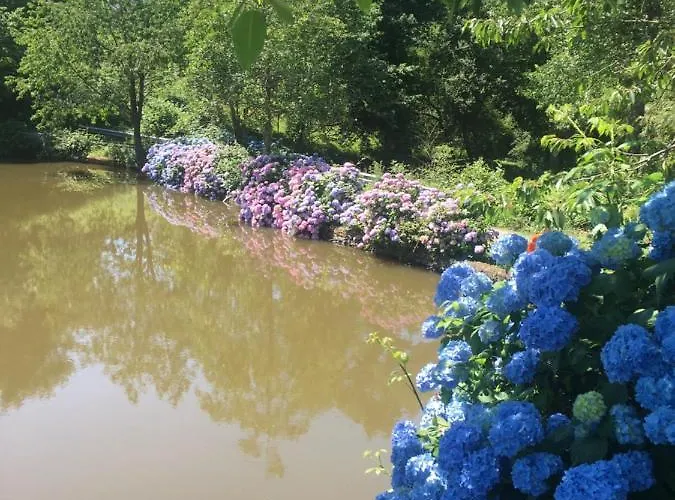 Charming 2-bed In Domfront-en-poiraie Vakantiehuis Perrou