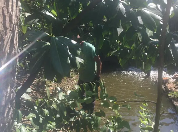 別荘 Charming 2-bed In Domfront-en-poiraie *