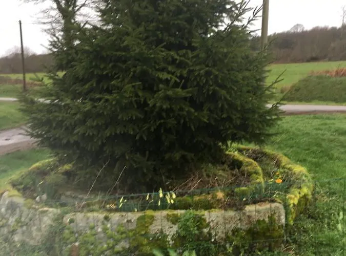 Charming 2-bed In Domfront-en-poiraie