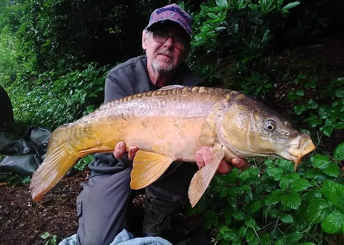 Charming 2-bed In Domfront-en-poiraie Hébergement de vacances