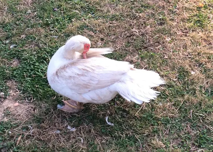 Charming 2-bed In Domfront-en-poiraie Hébergement de vacances