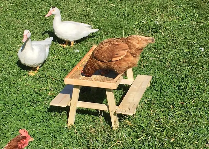 Vakantiehuis Charming 2-bed In Domfront-en-poiraie Perrou