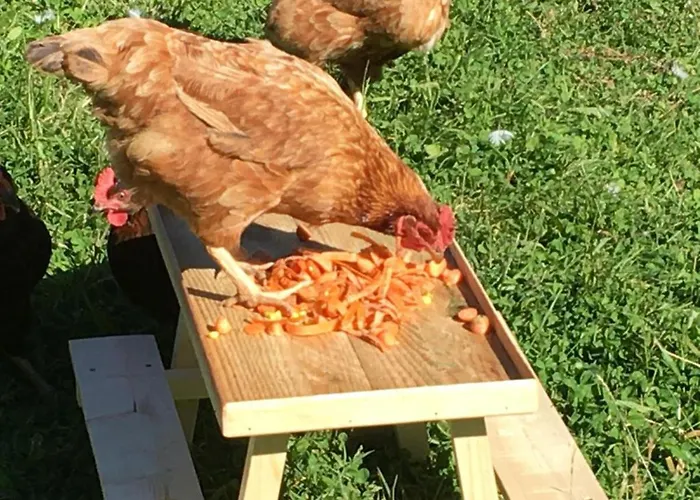 Vakantiehuis Charming 2-bed In Domfront-en-poiraie Perrou