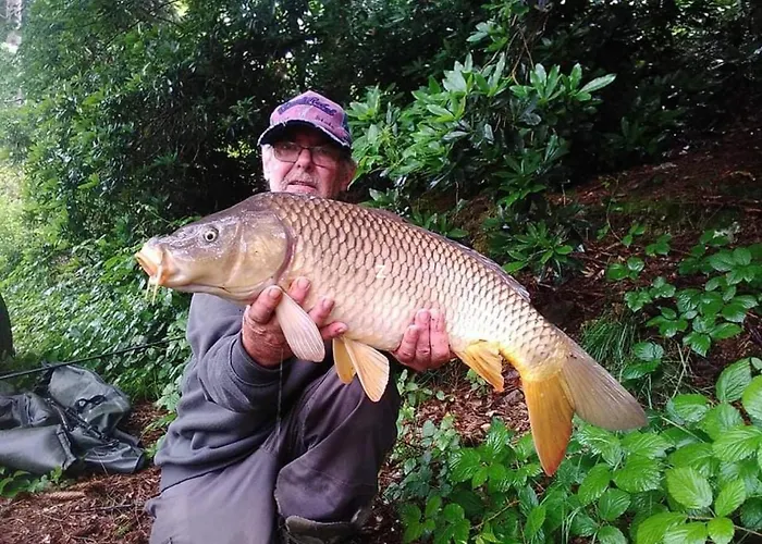 Vakantiehuis Charming 2-bed In Domfront-en-poiraie *