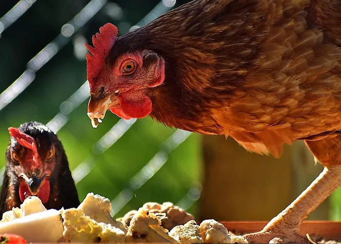 Charming 2-bed In Domfront-en-poiraie Perrou